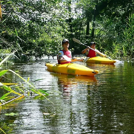 Resort Anthares World *