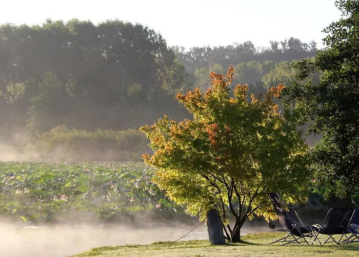 Rezort Anthares World