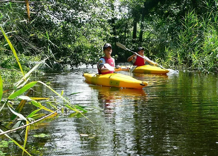 Rezort Anthares World *